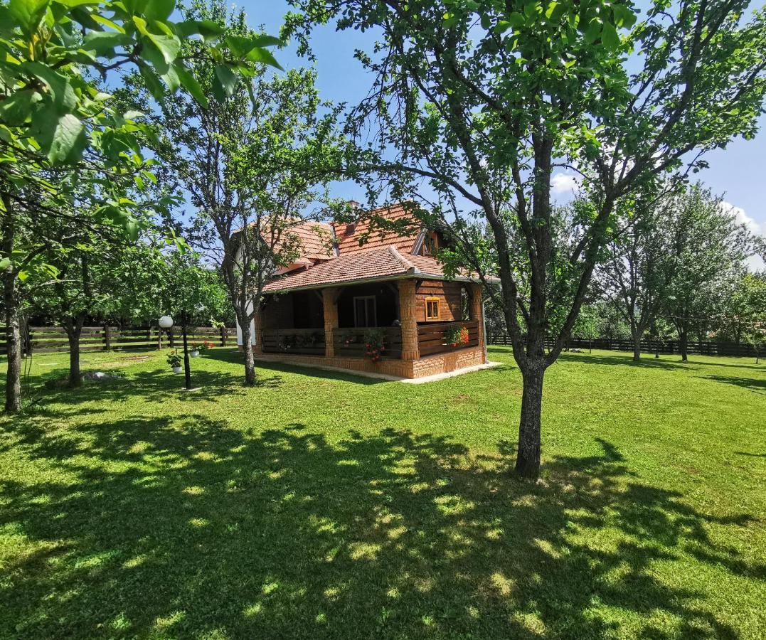 Seosko Domacinstvo Bondzulic Apartman Užice Kültér fotó