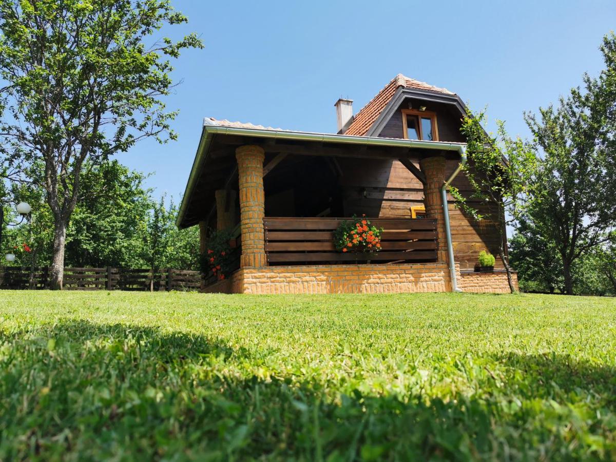 Seosko Domacinstvo Bondzulic Apartman Užice Kültér fotó