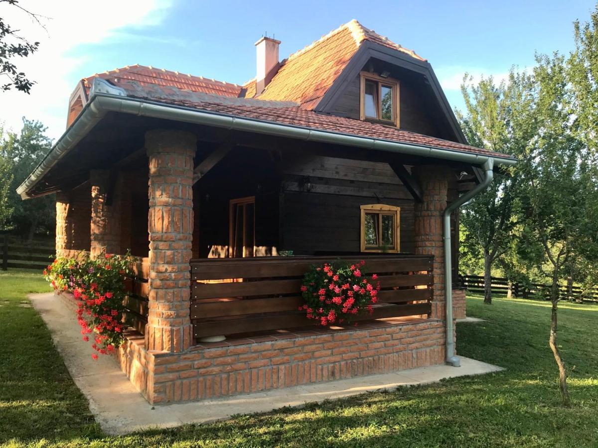Seosko Domacinstvo Bondzulic Apartman Užice Kültér fotó
