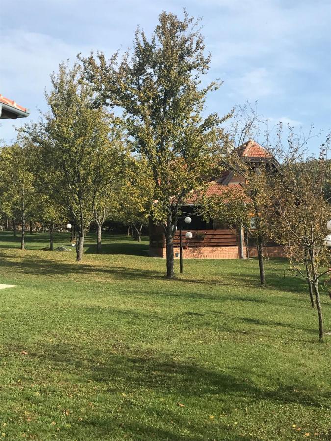 Seosko Domacinstvo Bondzulic Apartman Užice Kültér fotó