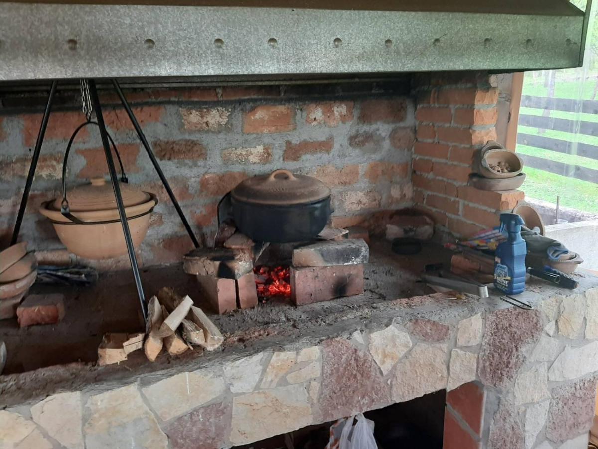 Seosko Domacinstvo Bondzulic Apartman Užice Kültér fotó